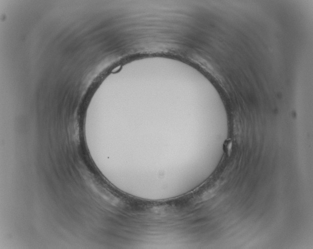 X0000073920584200609011811