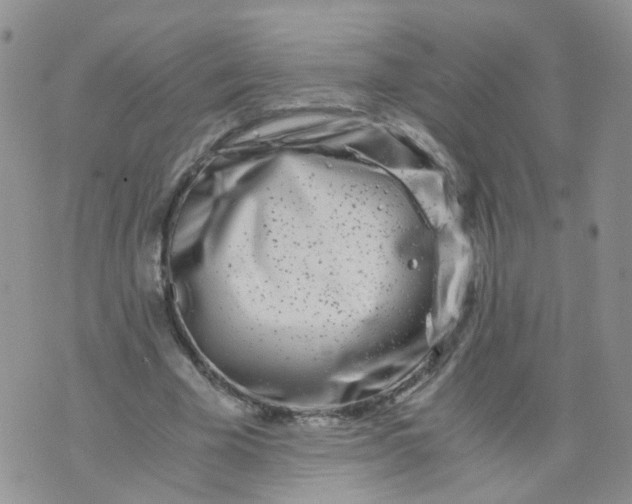 X0000073920585200609011811