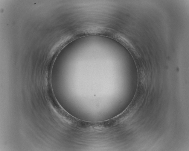 X0000073920586200609011811