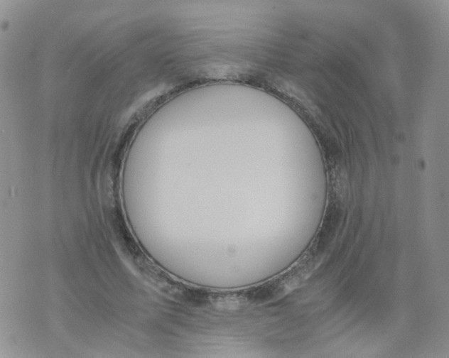 X0000073920587200609011811