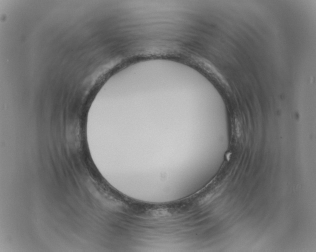 X0000073920588200609011811