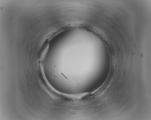 X0000073920589200609011811