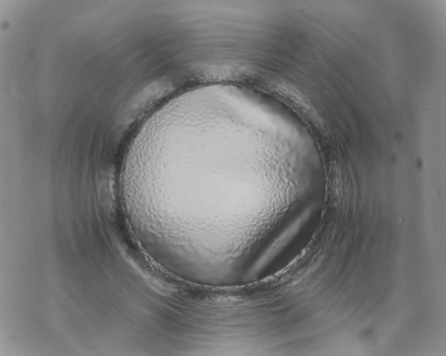 X0000073920590200609011811