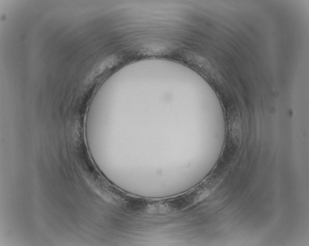 X0000073920591200609011811