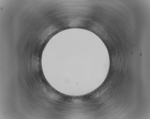 X0000073920592200609011811