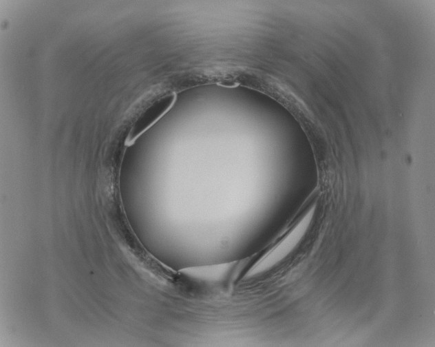 X0000073920593200609011811