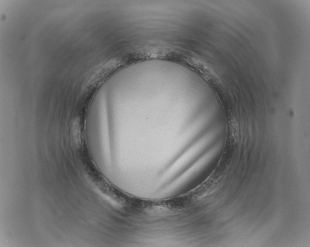 X0000073920594200609011811