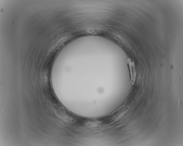 X0000073920595200609011811