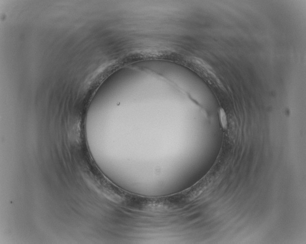 X0000073920596200609011811