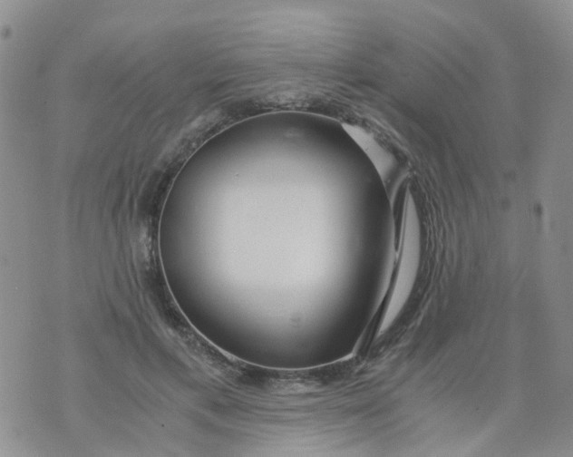 X0000073920597200609011811