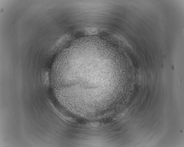 X0000073920598200609011811