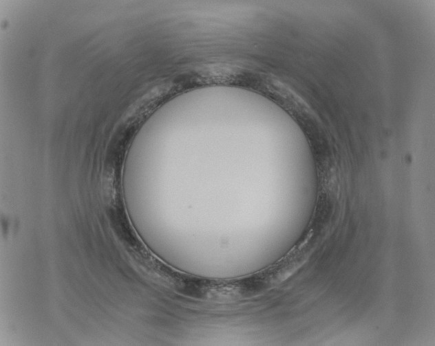 X0000073920599200609011811