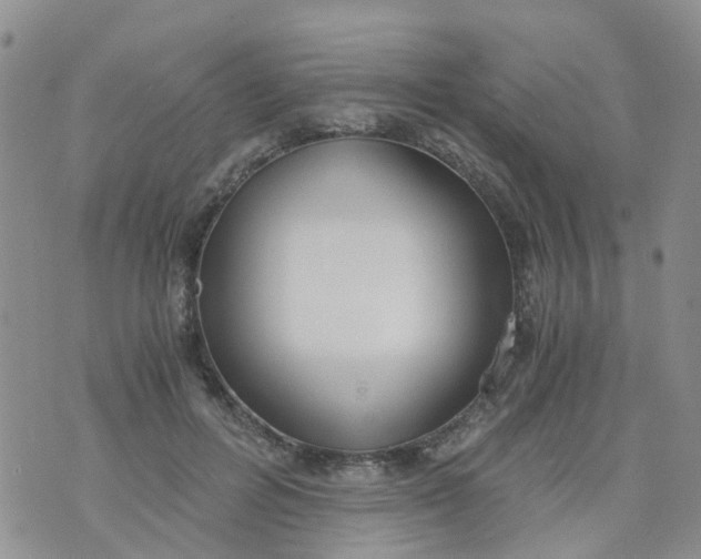 X0000073920600200609011811