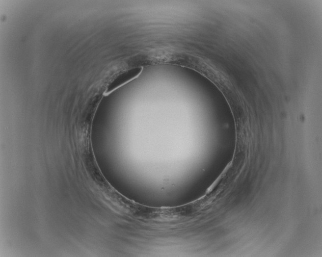 X0000073920601200609011811