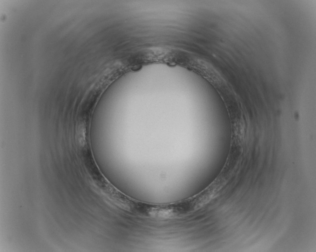 X0000073920602200609011811