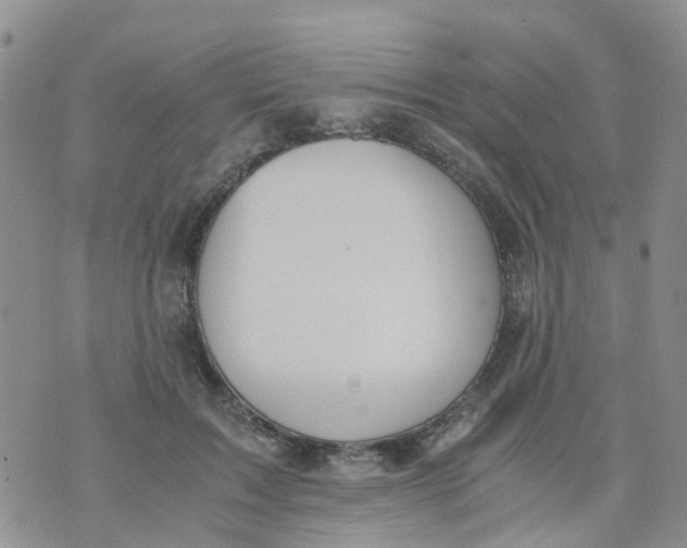 X0000073920603200609011811