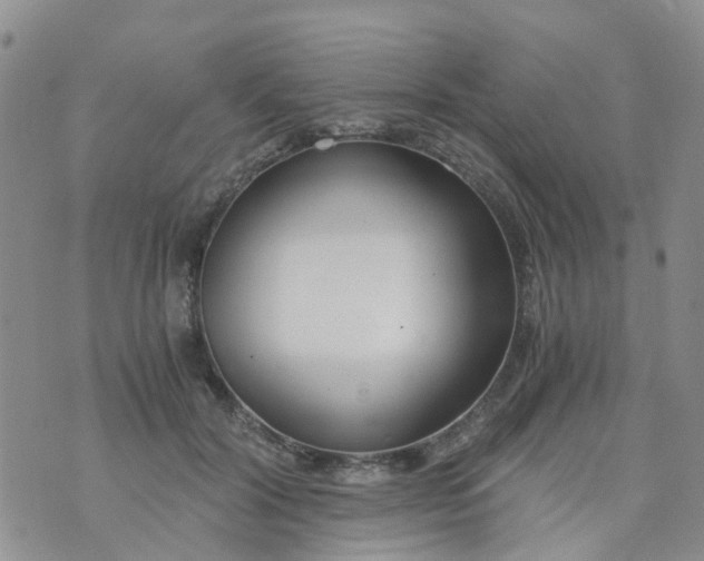 X0000073920604200609011811