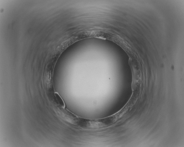 X0000073920605200609011811