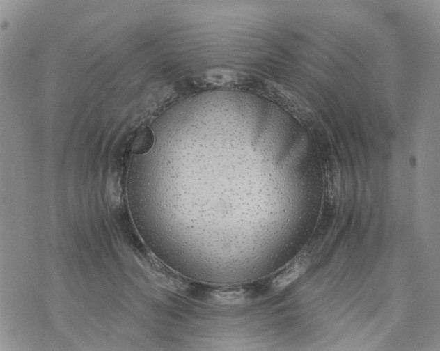 X0000073920606200609011811