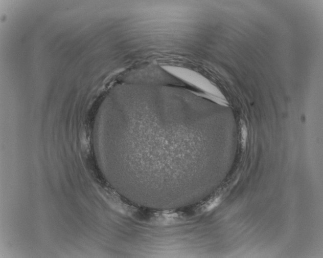 X0000073920607200609011811