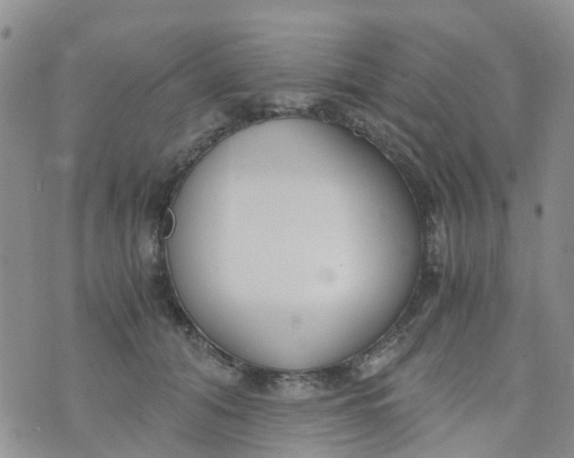 X0000073920608200609011811