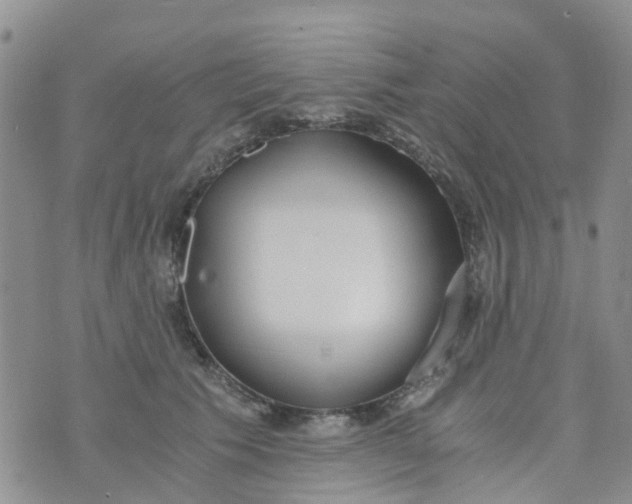 X0000073920609200609011811