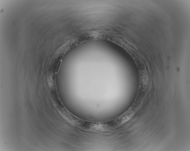 X0000073920611200609011811