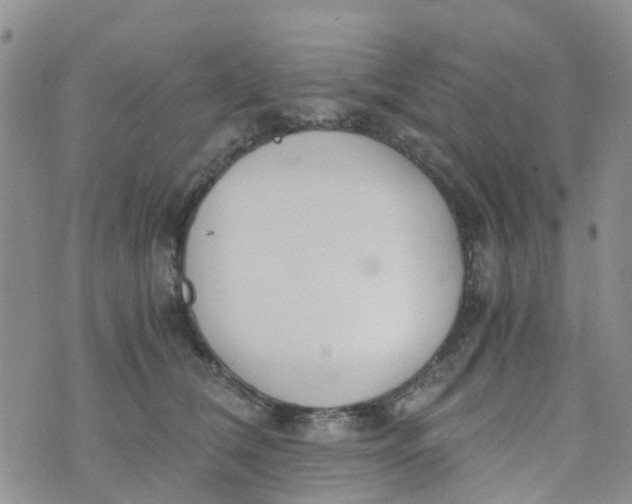 X0000073920612200609011811