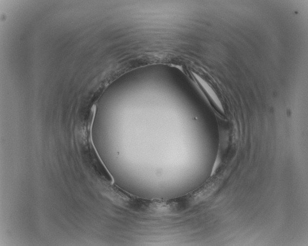 X0000073920613200609011811