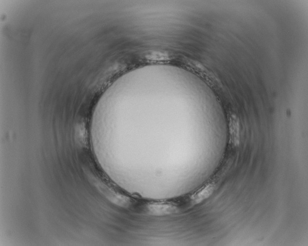 X0000073920614200609011811