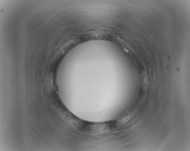 X0000073920615200609011811