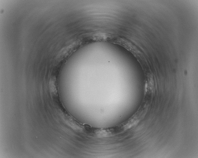 X0000073920616200609011811