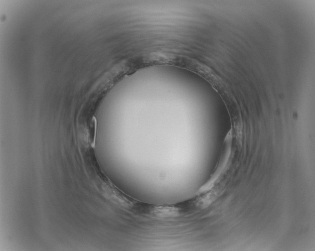 X0000073920617200609011811