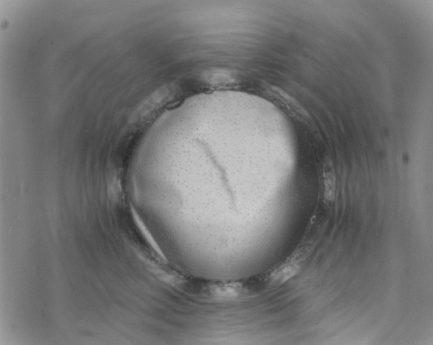 X0000073920618200609011811