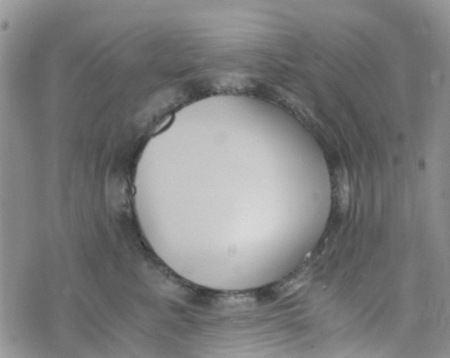 X0000073920619200609011811