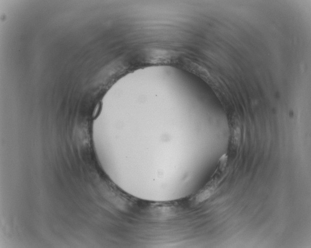 X0000073920620200609011811