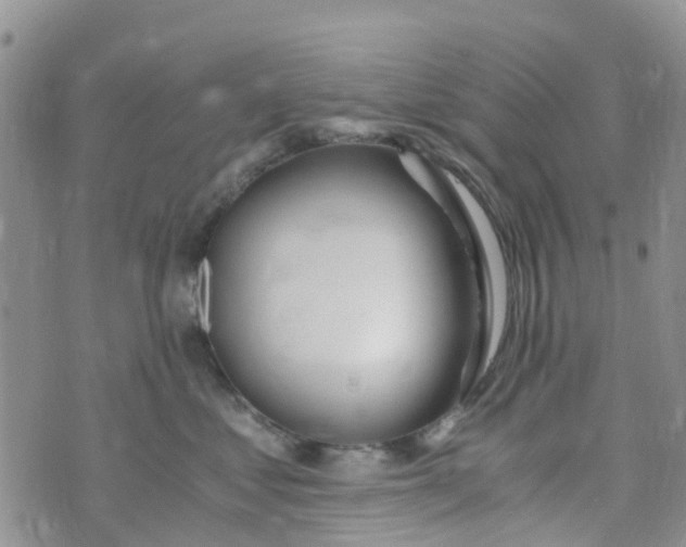 X0000073920621200609011811