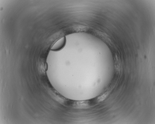 X0000073920622200609011811