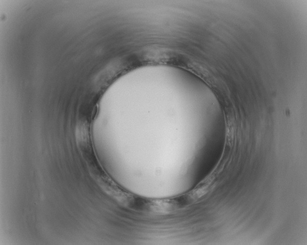 X0000073920623200609011811