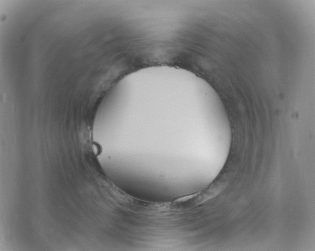 X0000073920624200609011810