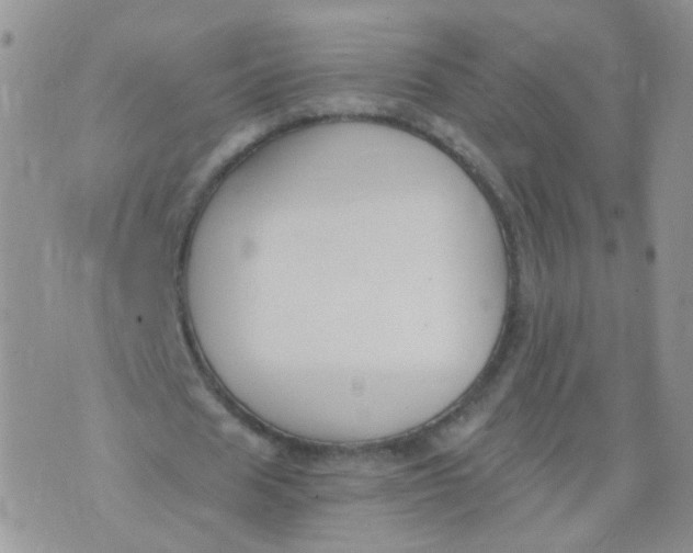 X0000073920625200609011810