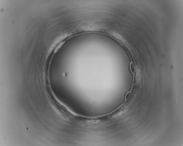 X0000073920626200609011810