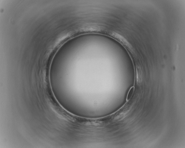 X0000073920627200609011810