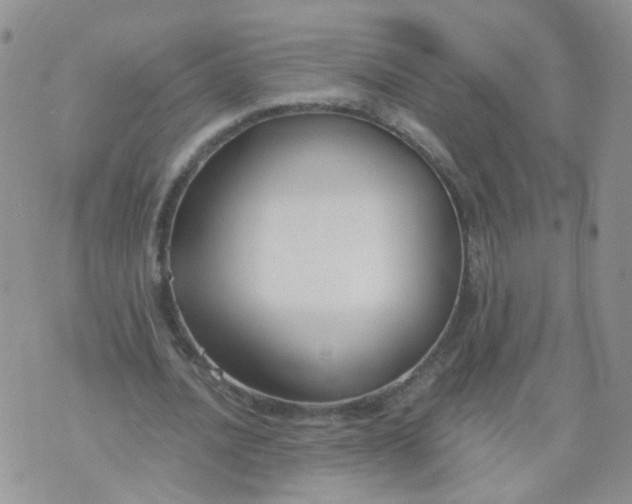 X0000073920628200609011810