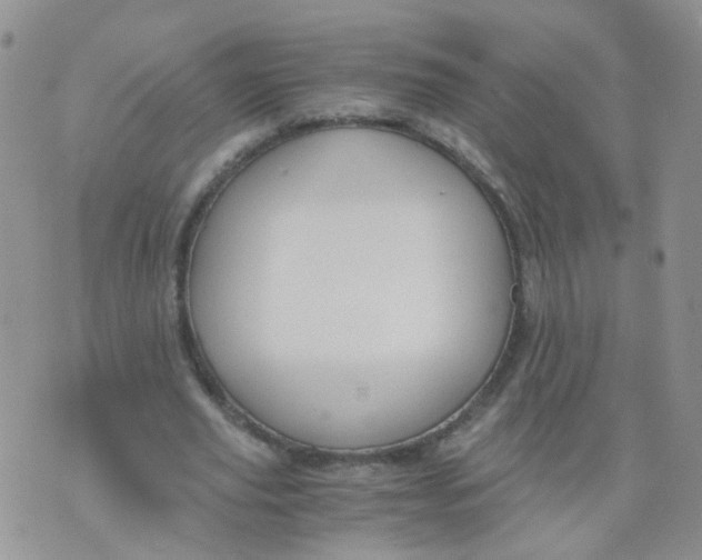 X0000073920629200609011810