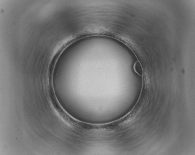 X0000073920630200609011810