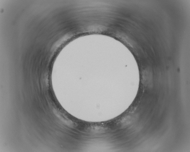 X0000073920632200609011810