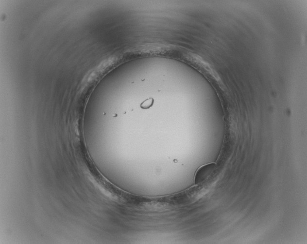 X0000073920633200609011810