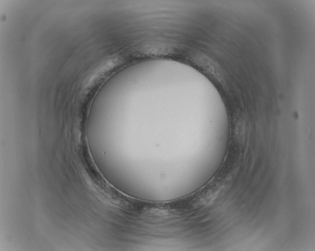 X0000073920635200609011810