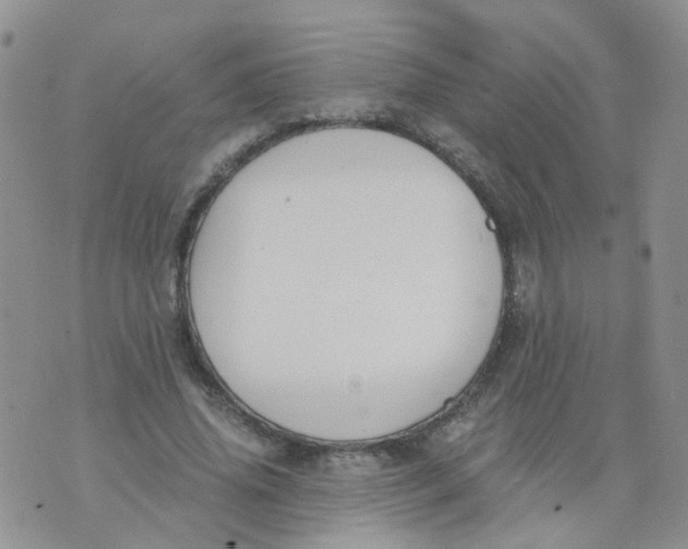 X0000073920636200609011810